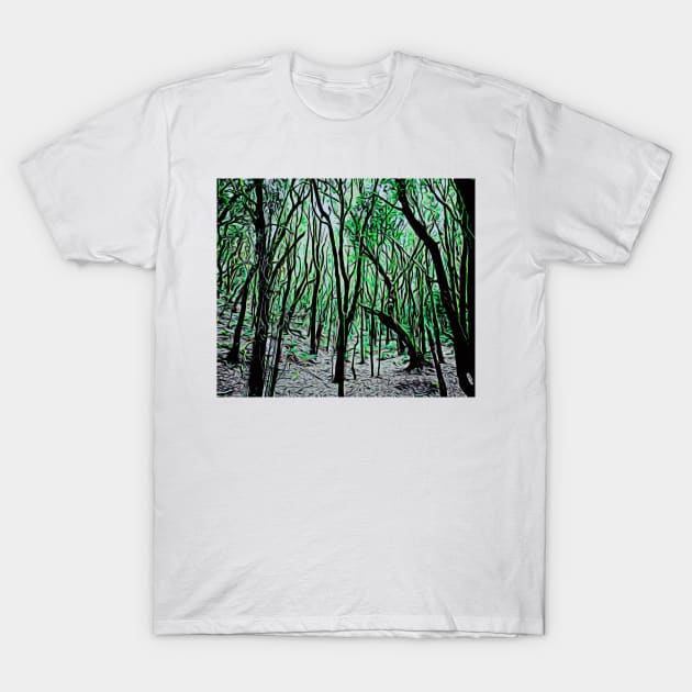 garayonay national park la gomera T-Shirt by lagomeratravel